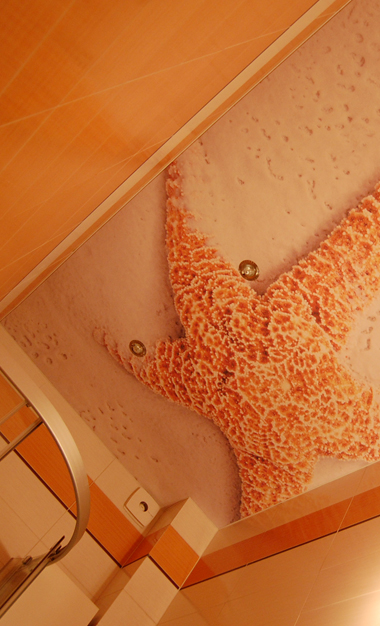 Как выбрать потолок для ванной фото